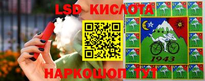крисы Анжеро-Судженск