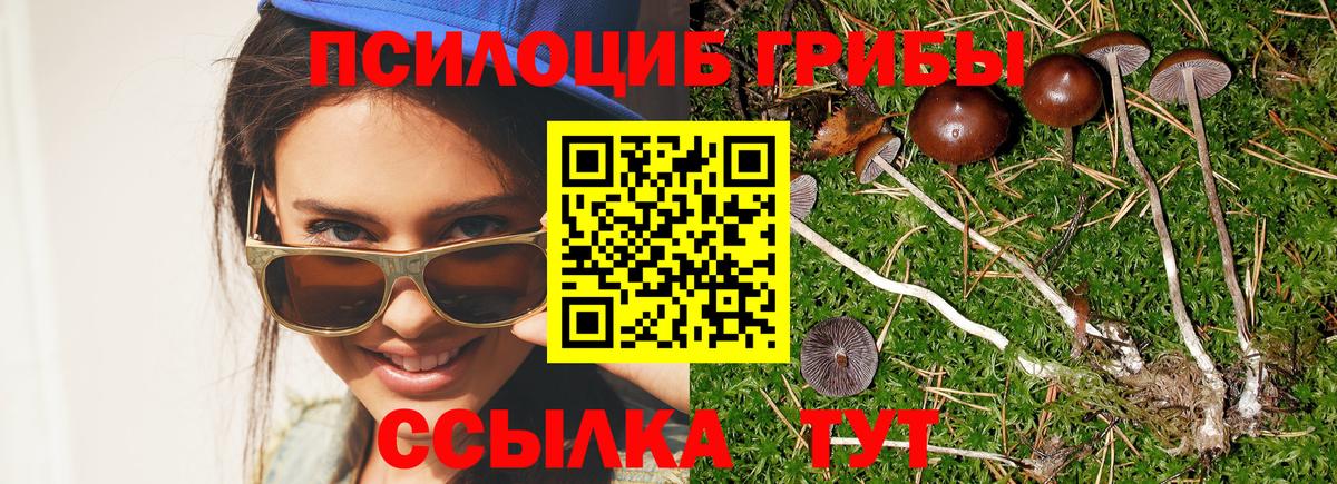 Галлюциногенные грибы Magic Shrooms Белогорск