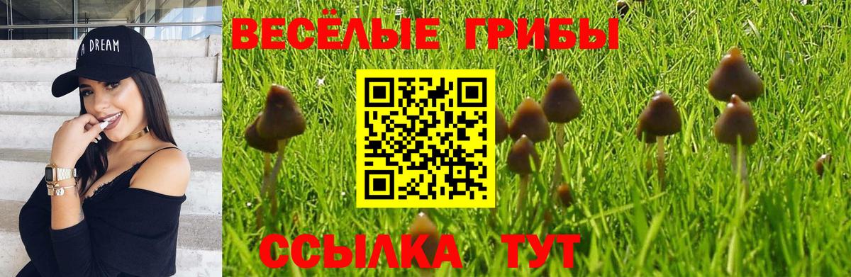 Псилоцибиновые грибы ЛСД  Псилоцибиновые грибы Psilocybe  Белогорск  Вход с VPN 